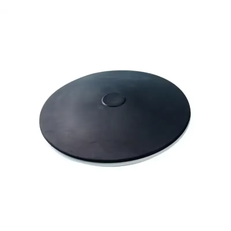 1pcs 10pcs 215mm Fine Bubble A - Air Diffuser Disc Bubble Aeration Pond 评论和价格